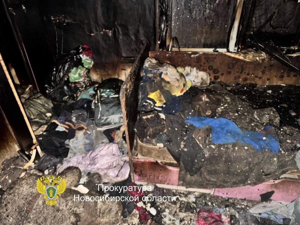 Фото Опубликованы фото с места поджога дома с тремя детьми под Новосибирском 3